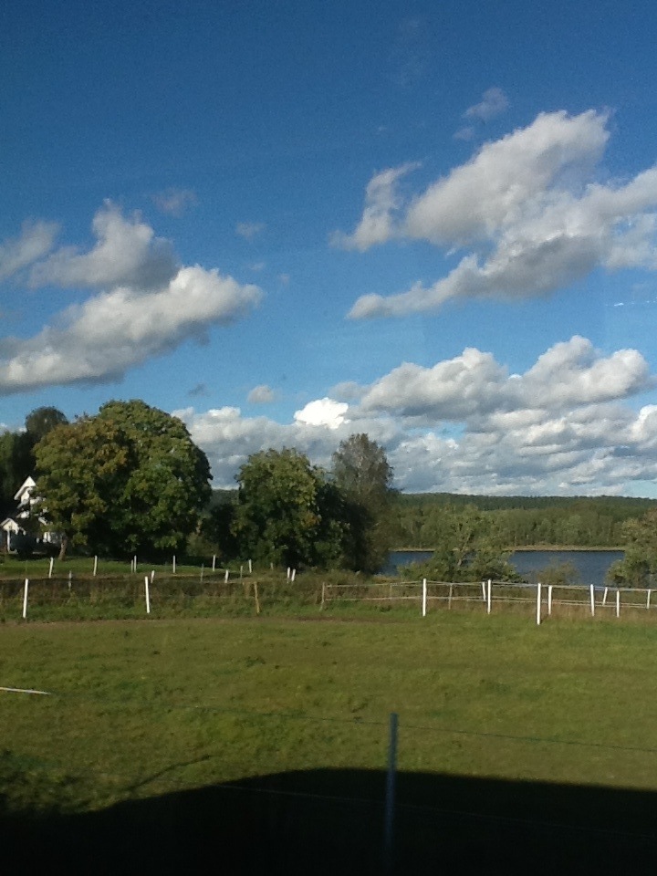 20120917-182304.jpg